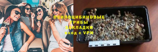 гашик Абаза
