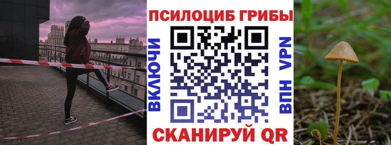наркошоп  Подпорожье  Галлюциногенные грибы мицелий 