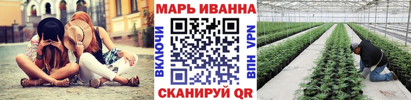 shop наркотические препараты Подпорожье Конопля план кракен зеркало